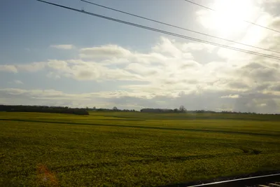 DSC_7174 (Large).JPG